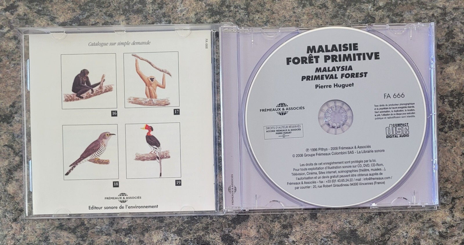 Sounds Of Nature Malaysia Primeval Forest Songs Water Soundscapes Storms Waves