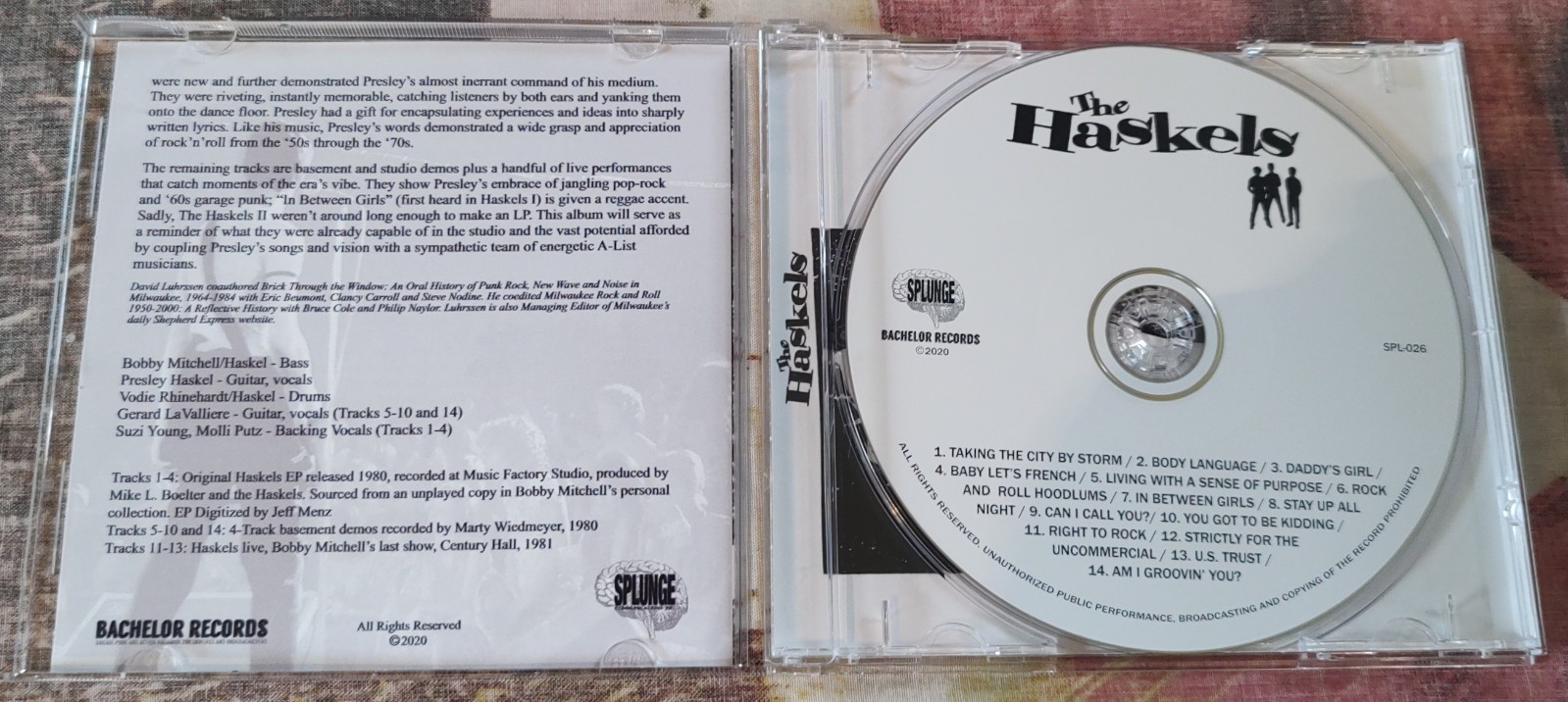 The Haskels – Taking The City By Storm - 2020 - RARE MILWAUKEE POWER POP