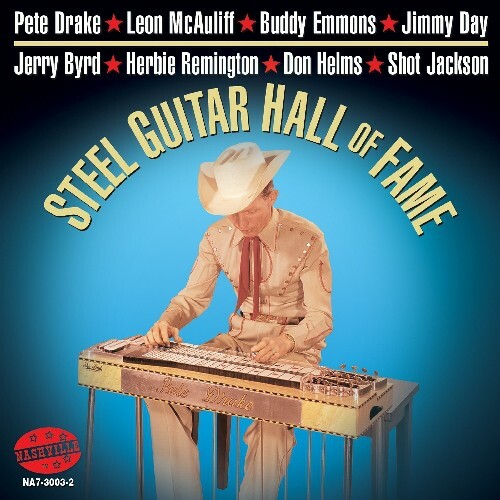 Various Artists - Steel Guitar Hall Of Fame [New CD]