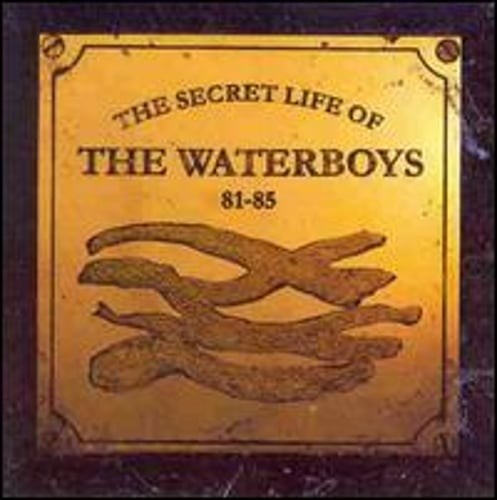 The Secret Life of the Waterboys 81-85 by The Waterboys: Used