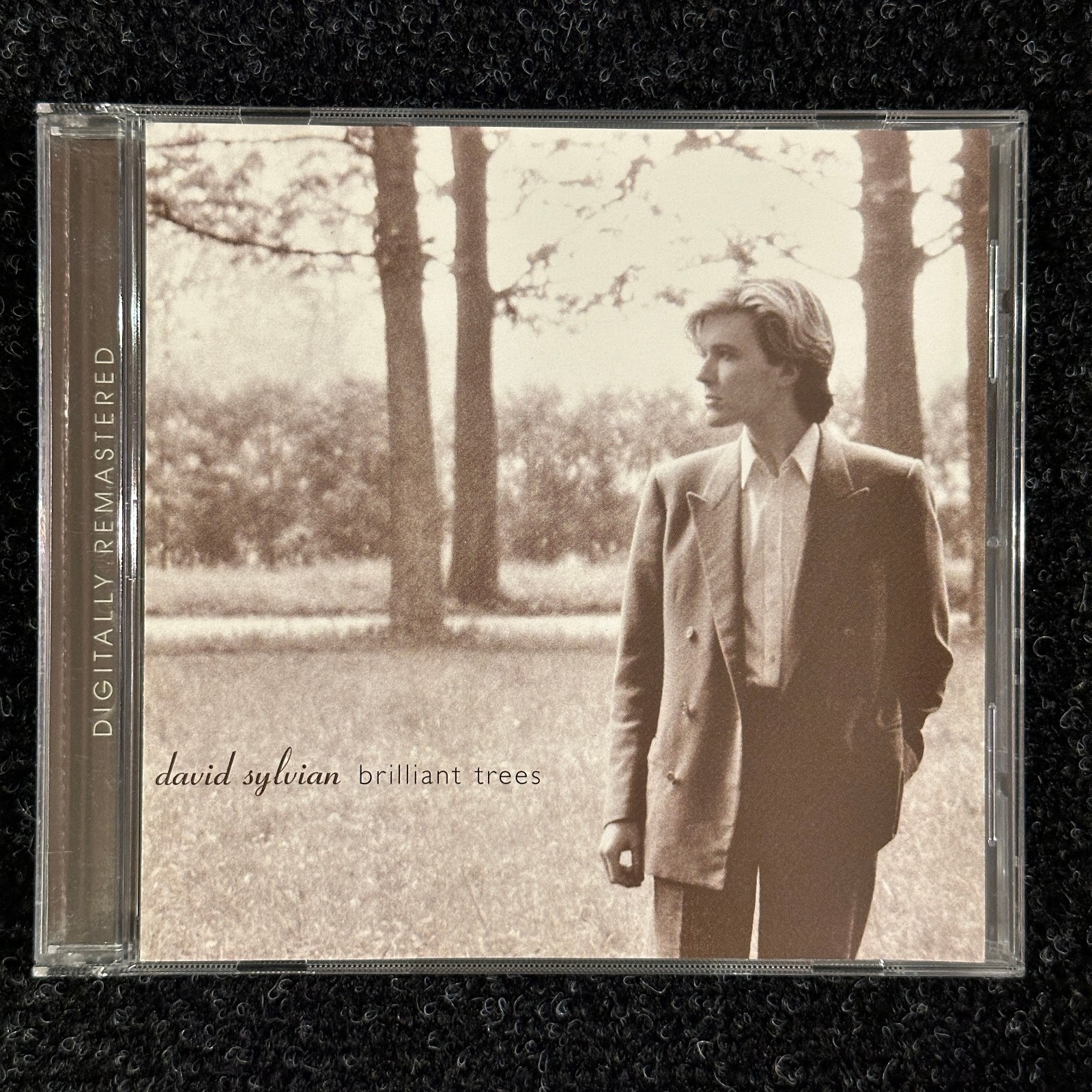 David Sylvian Brilliant Trees European CD 2006 Virgin/EMI Reissue Remastered