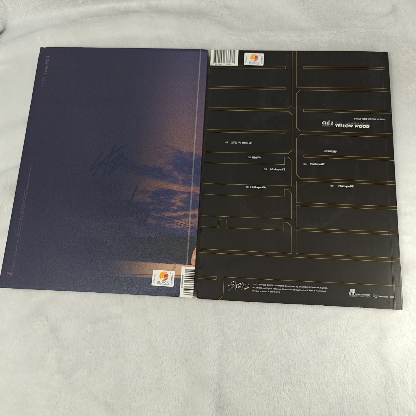 Stray Kids I Am You And Yellow Wood Albums With Photocards