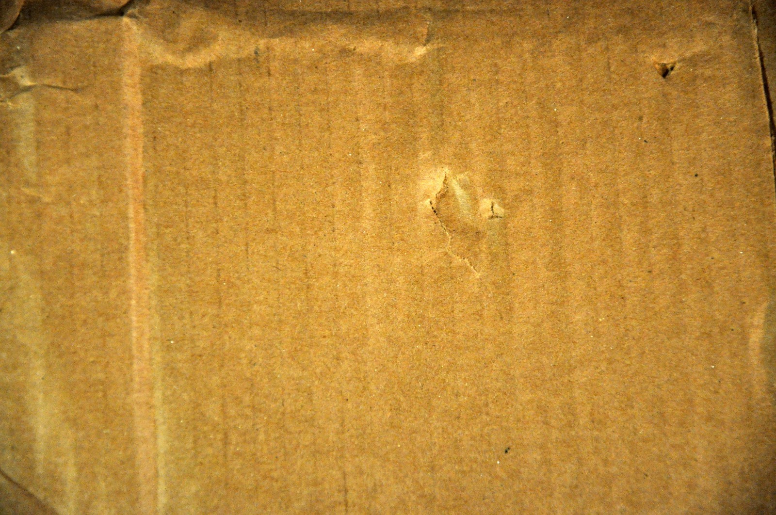 Bernard Soul Is... "Pretty" PURDIE 2018 JAPAN Plastic Jewel Cs CD CDSOL-45741
