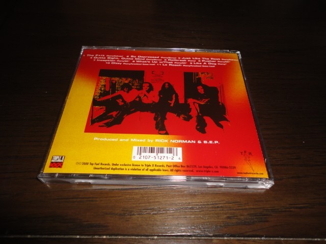 VICIOUS DELITE CD Stephen Pearcy - Hard Rock Punk - RATT Sunset Strip - rare