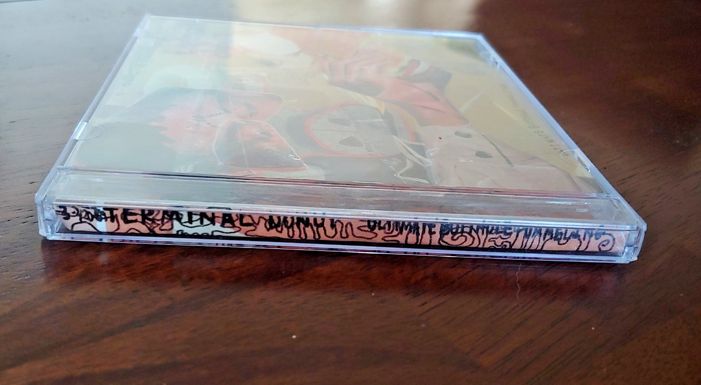 Terminal Donut-"Ultimate Butthole Pummeling" CD, Butthole Surfers, Boredoms, NM+