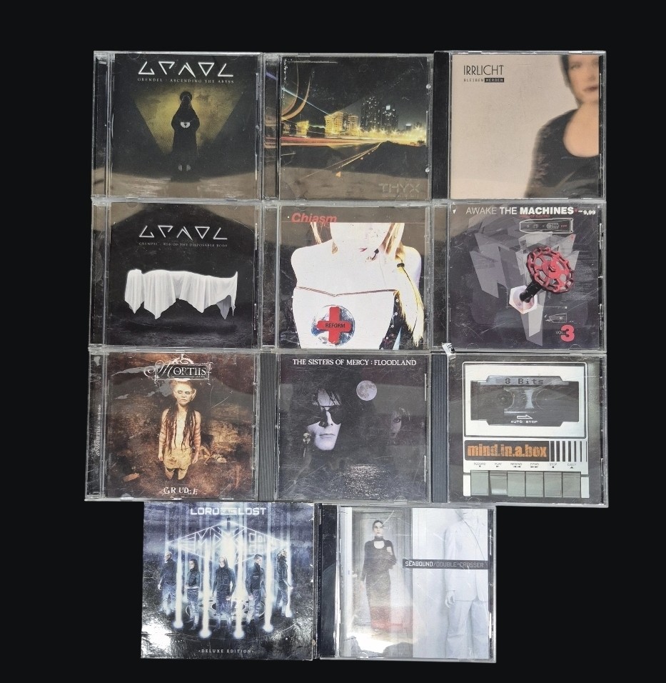 Darkwave Futurepop EBM Industrial Synthpop Goth CD Collection/Lot Chiasm (11)