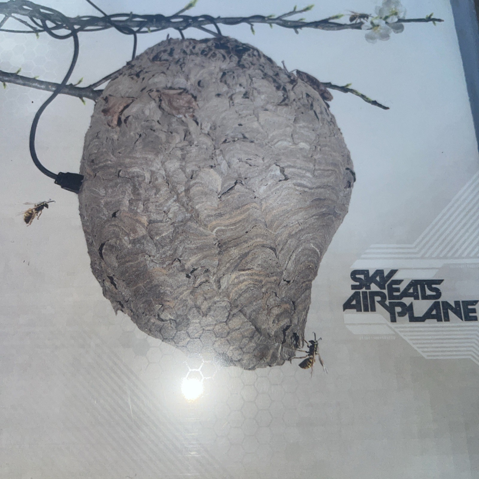 Sky Eats Airplane (Self-Titled) CD - Equal Vision Records Electronicore Hardcore