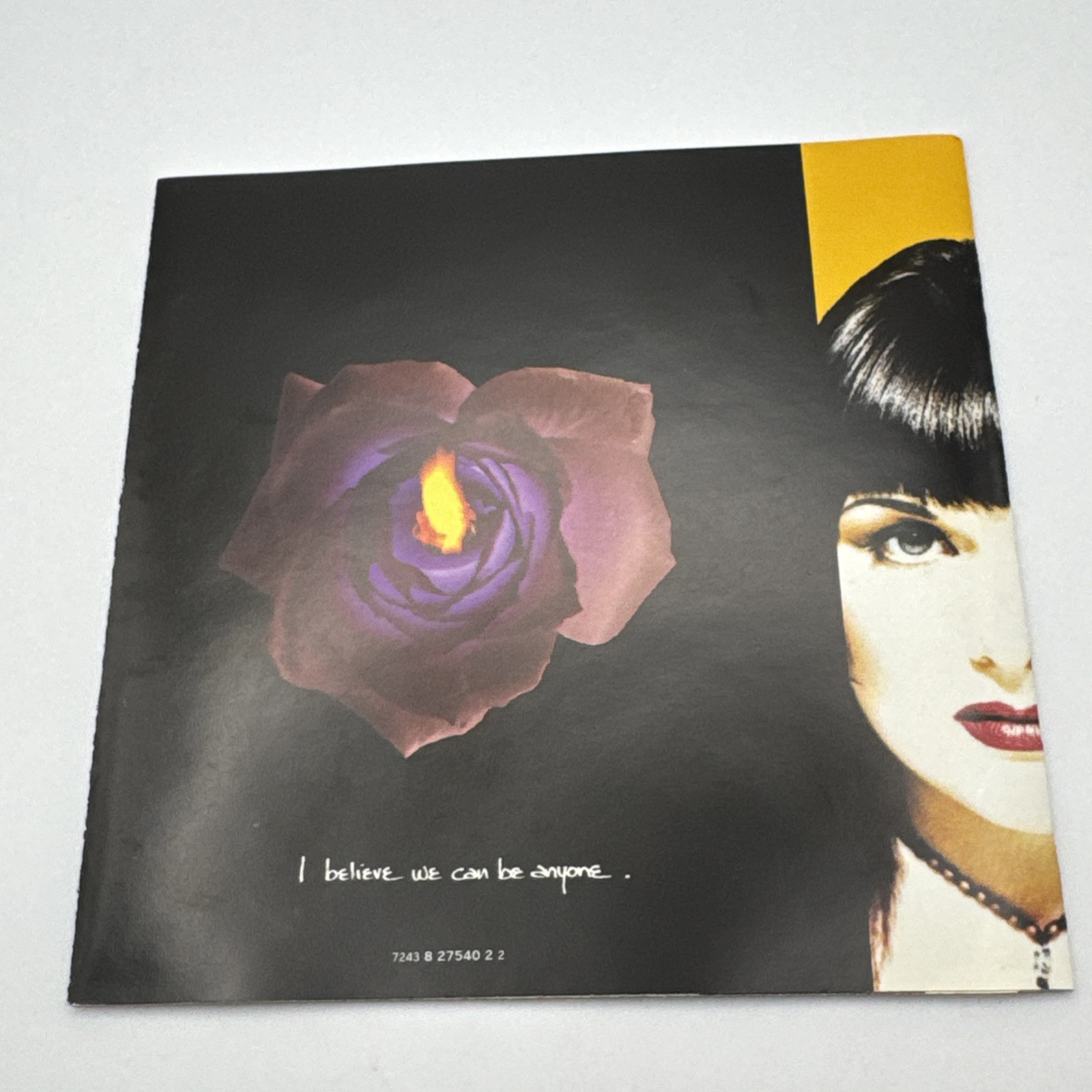 Heart Desire Walks On CD 1993 Capital Ann and Nancy Wilson Ron Nevison (Prod).