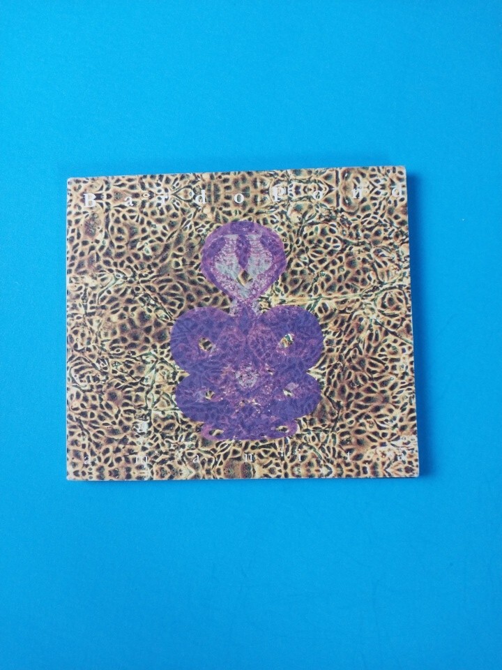 Bardo Pond Amanita CD US Import Psychedelic Rock