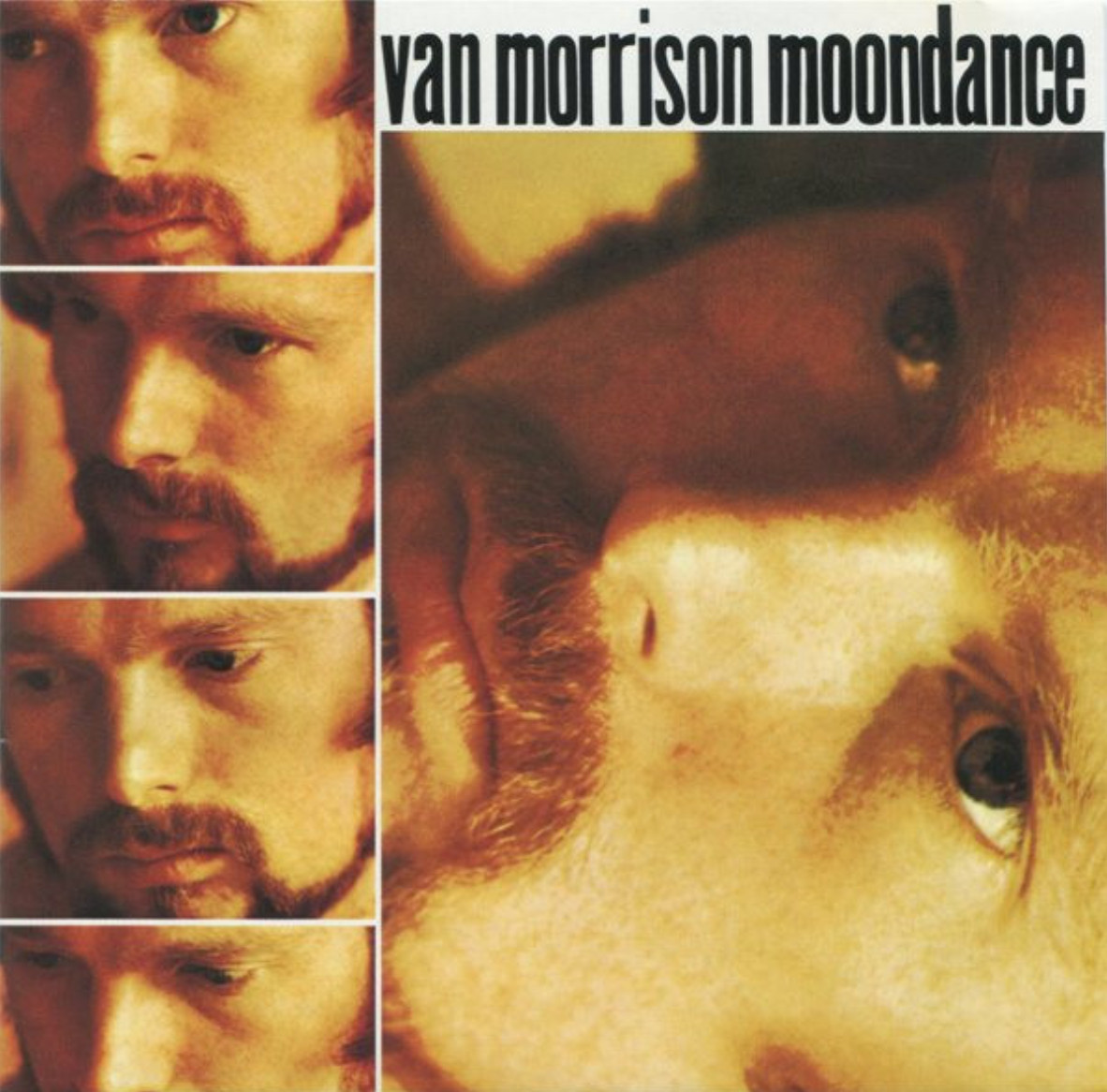 VAN MORRISON Moondance (1990) Warner Bros. CD 3103-2 NEW SEALED