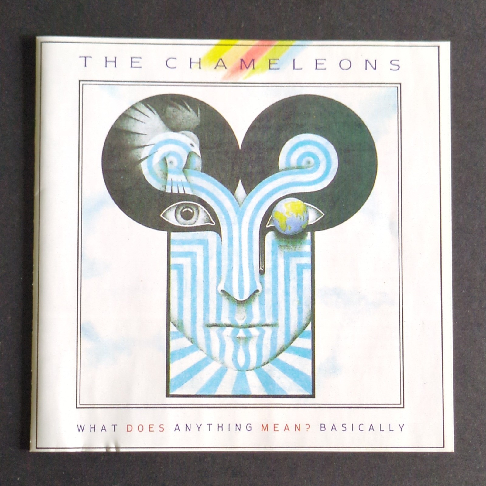 The Chameleons - What Does Anything Mean? Basically (1995 CD) Indie Rock 1985