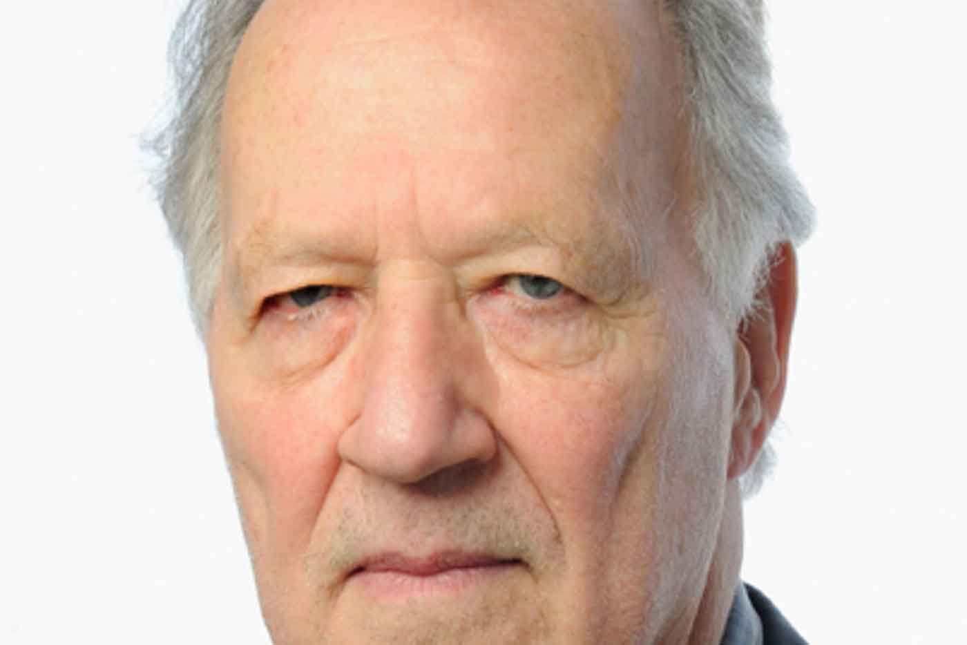 D’A 2012, de cine de autor también se vive.