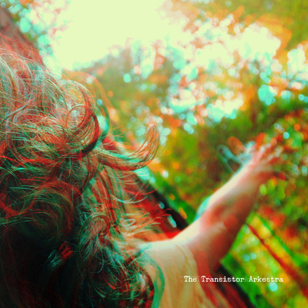 The Transistor Arkestra