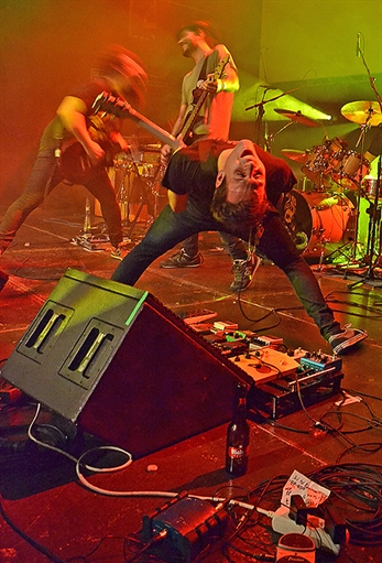 Los árboles y el bosque