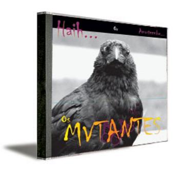 Haih… Or Amortecedor…