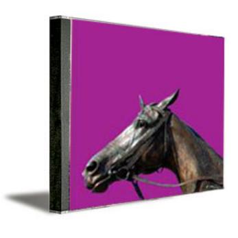 Songs From The High Side