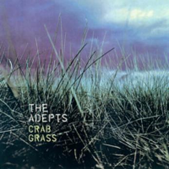Crab Grass