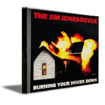 Burning Your House Down