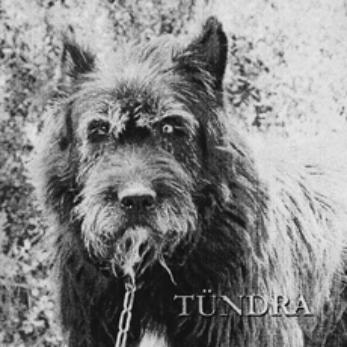 Tündra