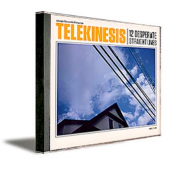 12 Desperate Straight Lines