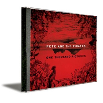 One Thousand Pictures