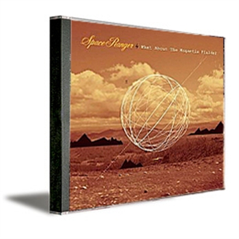 What About The Magnetic Fields?”