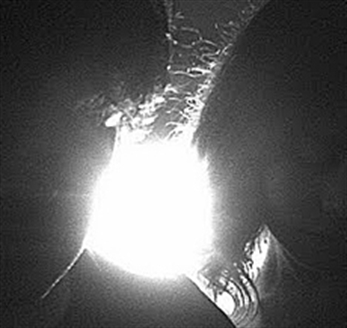 El final de la noche