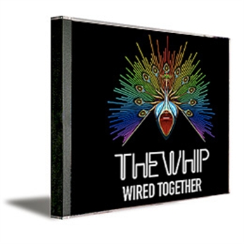 Wired Together