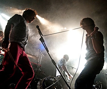 Let's Festival, caballo ganador