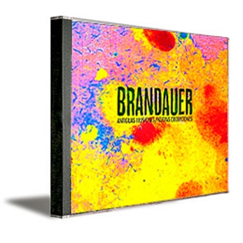 Antiguas ilusiones/Nuevas decepciones