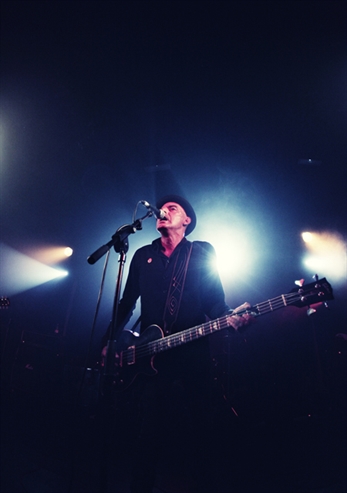 Lagartija Nick, el azar es caprichoso