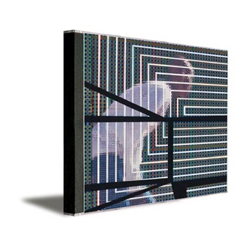 The Plain Where The Palace Stood