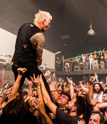 Biohazard, la noche de los molinillos