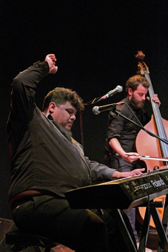 Fuerza de la naturaleza