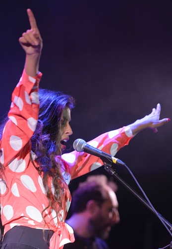 Mestizaje de flamenco y rock