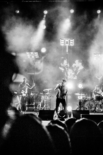 ZIP Festival 2014. A tiro hecho