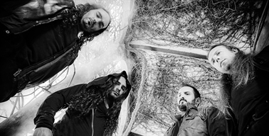 "Nunca hemos buscado la brutalidad"