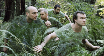 Sunny Day Real Estate en directo en la TV americana