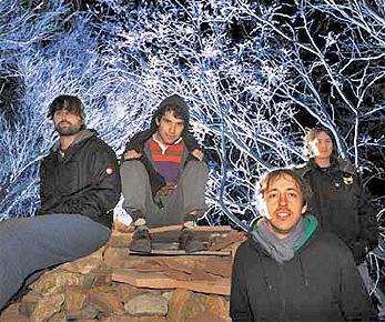 Animal Collective en pantalla grande