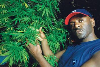 El mejor reggae en la Jam de Camposoto