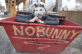 Llega el Pulp Fuzzion