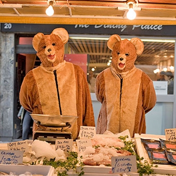 The 2 Bears publican su primer disco en enero