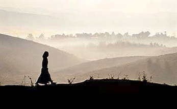 The Greeny Folks ganadores del COMA