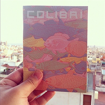 Fiesta presentación del fanzine Colibrí