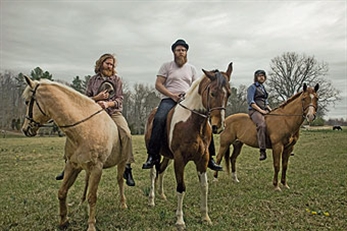 Megafaun vuelven de gira en diciembre