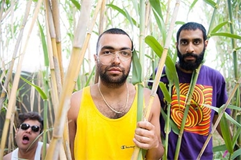 Adiós a Das Racist
