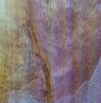 Akron/Family, nuevo disco en abril