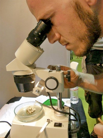 Málaga ya piensa en verde