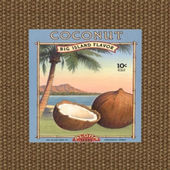 Te ofrecemos una mixtape especial de Me And The Coconut