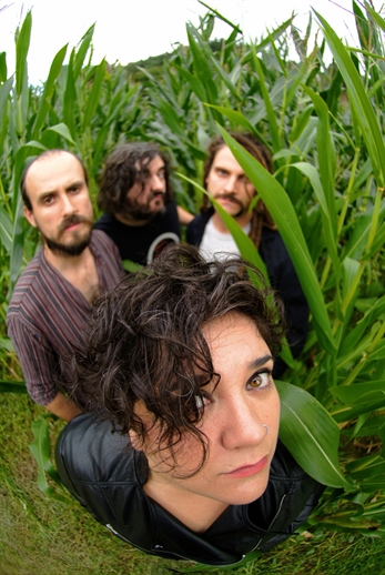 Nuevo disco de Zea Mays